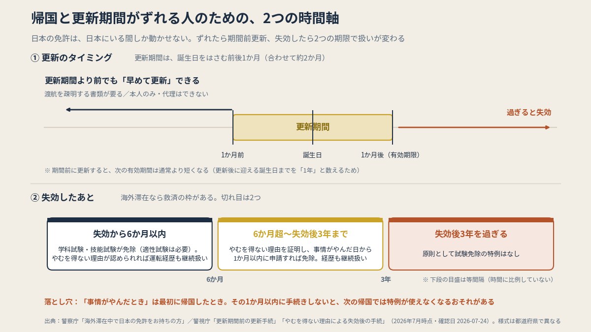 更新期間は誕生日の前後1か月。ずれるなら期間前更新、失効後は6か月と3年が切れ目(本文より作図)
